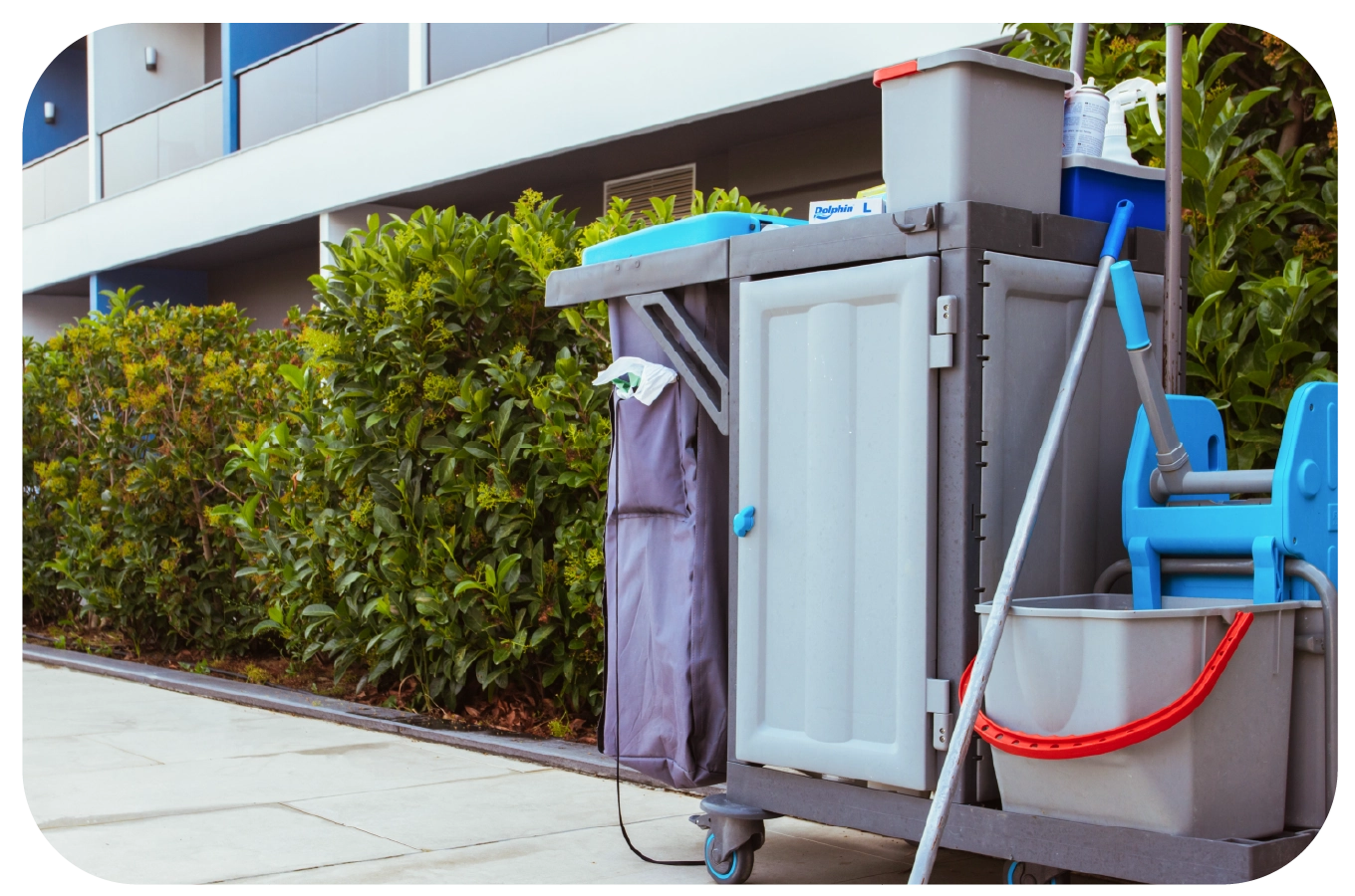 Equipo profesional de limpieza Safe Cleaning